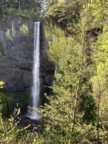 Picture 12 of Fam fun 