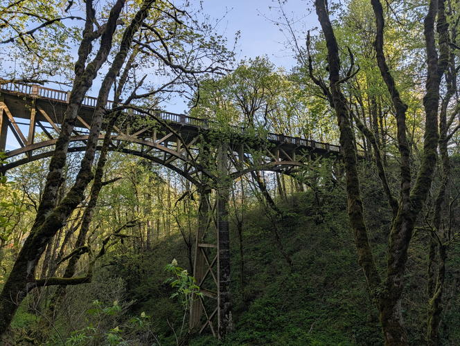 Picture 1 of Fam fun 