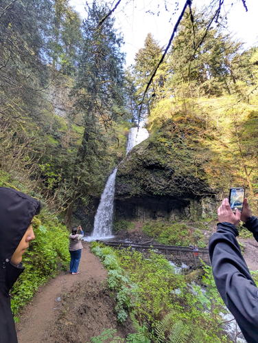 Picture 10 of Fam fun 