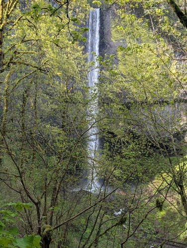 Picture 4 of Fam fun 