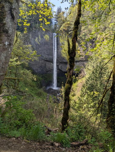 Picture 5 of Fam fun 