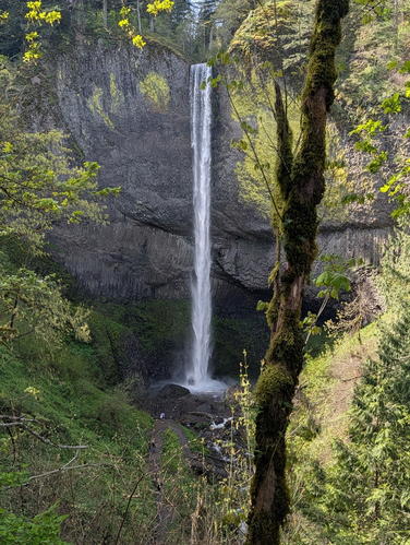 Picture 11 of Fam fun 