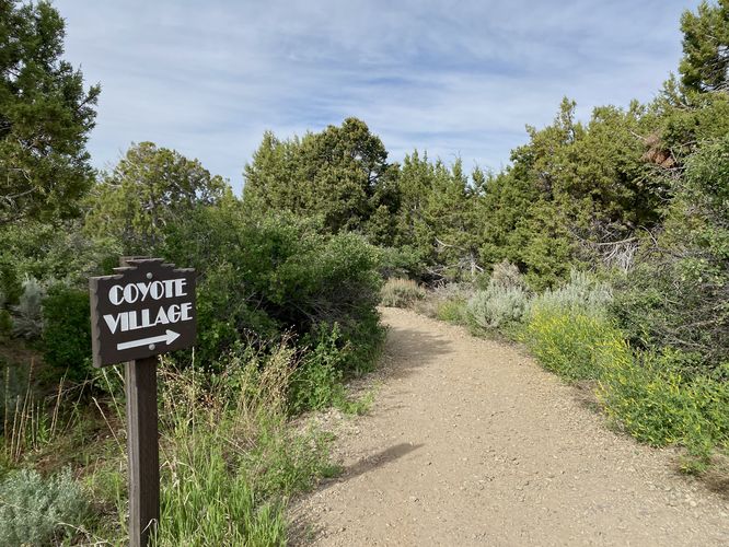 Coyote Village trail sign