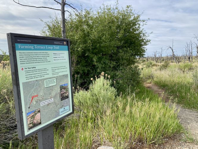 Farming Terrace Loop Trail trailhead