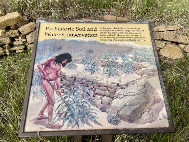 Prehistoric Soil and Water Conservation: ancient puebloan farming techniques