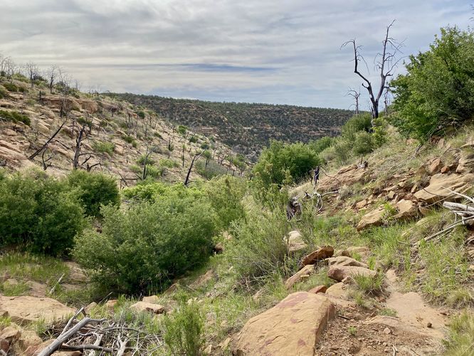 View into Soda Canyon from an ancient farming terrace