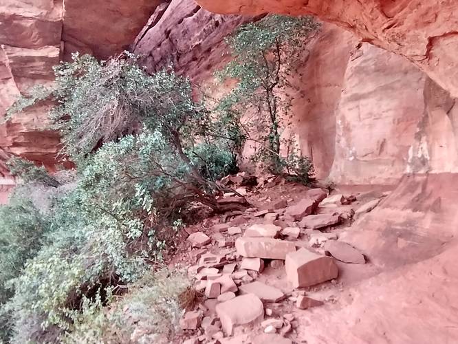 Rocky Ledge under Fay Canyon Arch