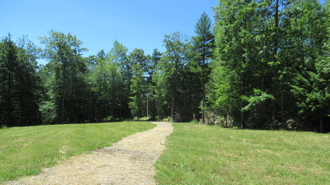 Trail through open field