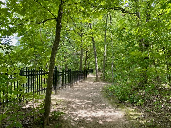 Metal fence lines the cliff's edge where hikers will find Felker's Falls below