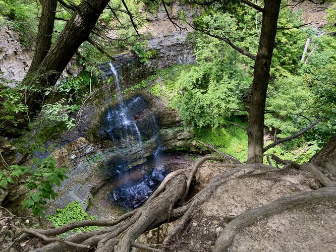 Default image for Felker's Falls via Bruce Trail, a 0.6-mile trail in Hamilton, ON (CA)