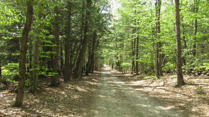 Road to Ferrin Pond Trail