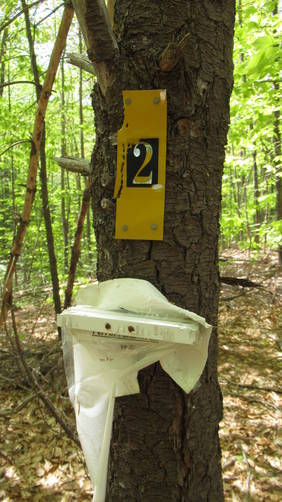 Another numbered marker with information destroyed by elements