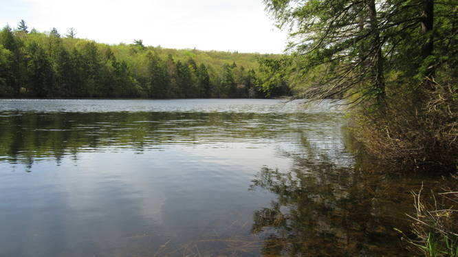 Tranquil Ferrin Pond