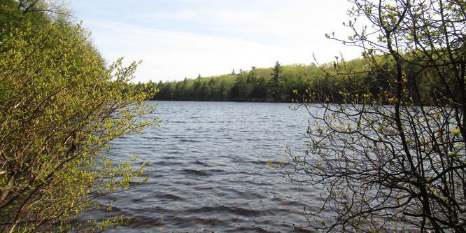 Another view of Ferrin Pond