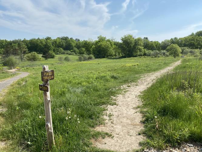 Field Trail - Field Trail at Highland Farm Preserve album