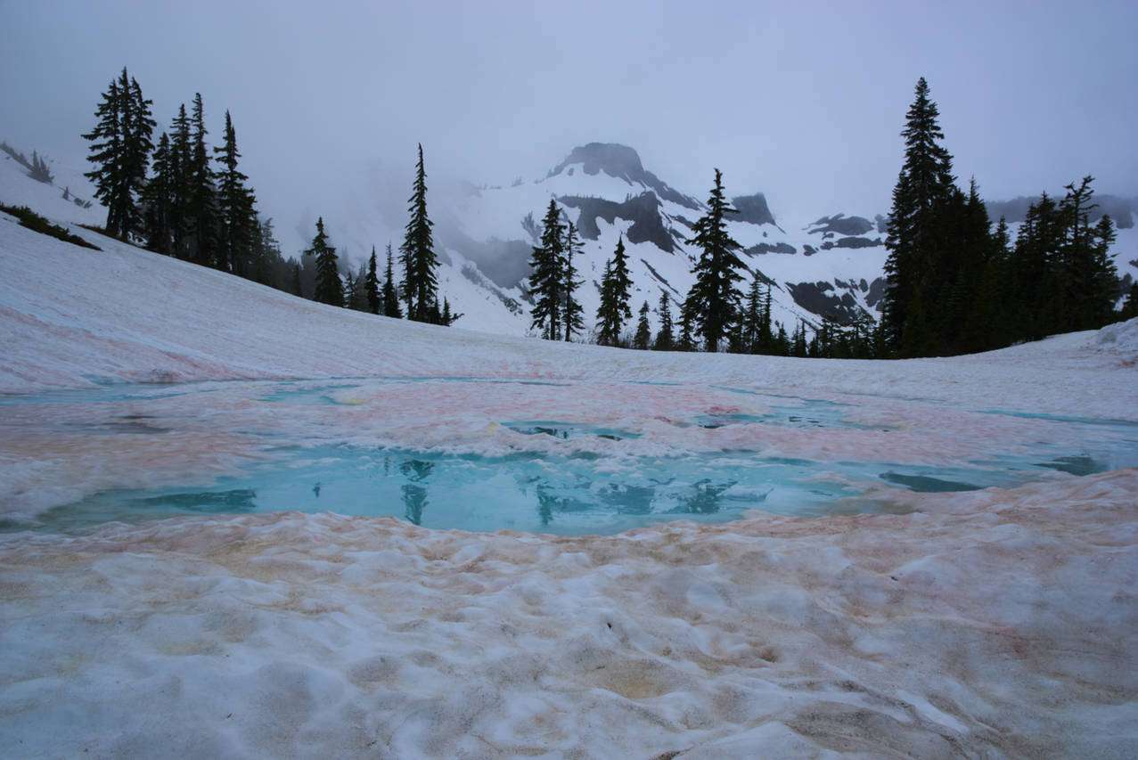 Vibrant blue water sits on a frozen pond on Mt. Baker's slopes - Explore Washington State's National Parks & Forests on MyHikes.org