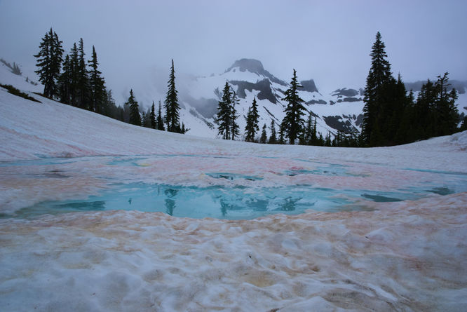 Vibrant blue water sits on a frozen pond on the slopes of Mt. Baker near the Heather Meadows