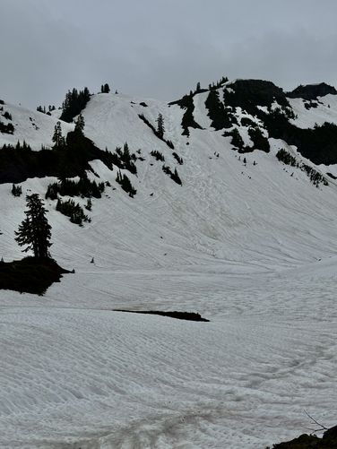 View of steep slopes where skiers and snowboards were shreding the gnar
