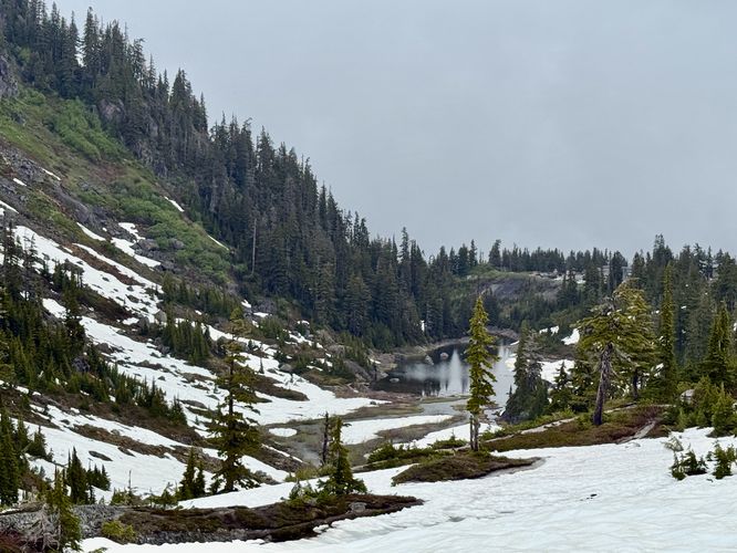 View of Lower Bagley Lake (Bagley Creek)