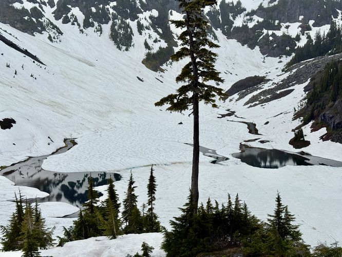 Picture 11 of Fire and Ice Trail