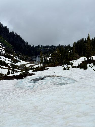 Portrait view of Austin Pass Lake, frozen over with blue hues