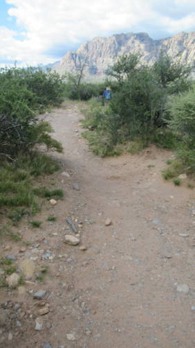 Trail substrate