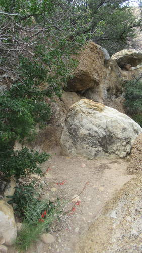 Rock outcropping