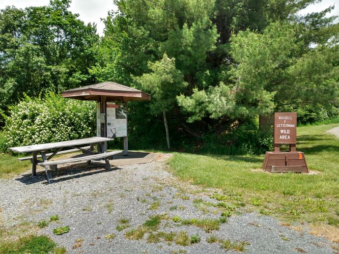 Picnic Area