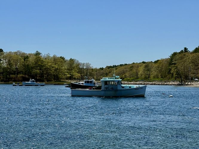 Picture 4 of Fishermans Walk May 12 2025