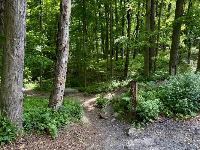 Trailhead to Fitzgerald Falls along the Appalachian Trail
