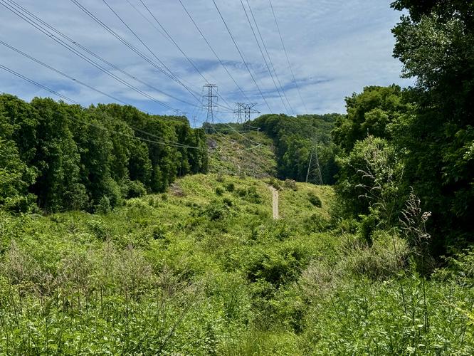 Powerline viewpoint