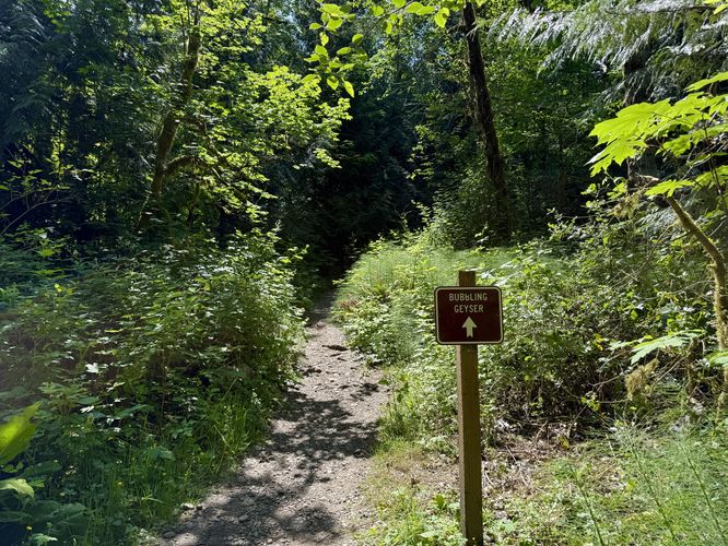 Trailhead for the Bubbling Geyser