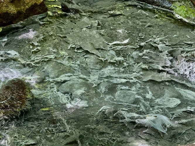 Ghost-like white calcium fills the Bubbling Geyser's waters