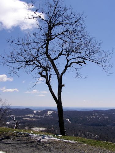 Picture 30 of Flat Top Tower Hike 032815