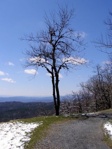 Picture 33 of Flat Top Tower Hike 032815