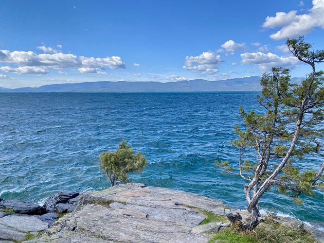 Evergreen trees sit along the shore of Flathead Lake