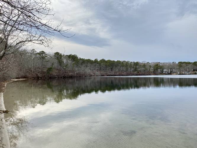 View of Flax Pond