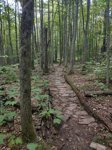 One of many beautiful stone walkways along the trail