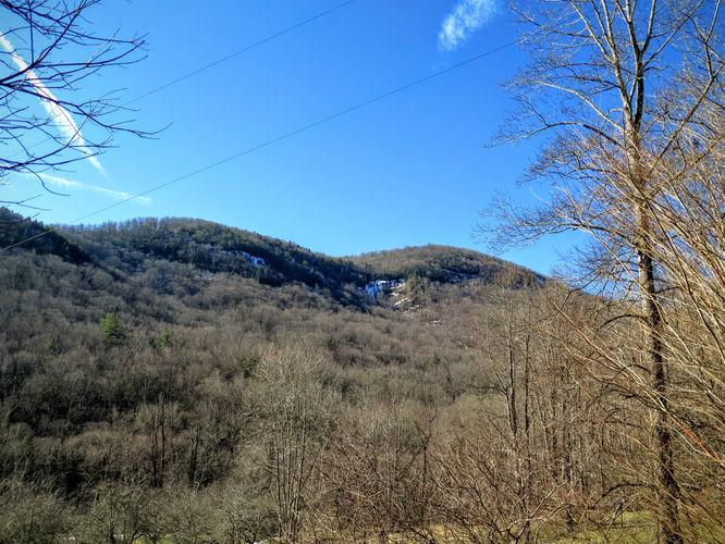 Picture 4 of Florence Nature Preserve Hike 013016