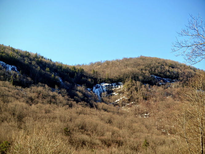 Picture 5 of Florence Nature Preserve Hike 013016