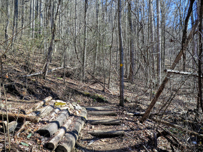 Picture 7 of Florence Nature Preserve Hike 013016