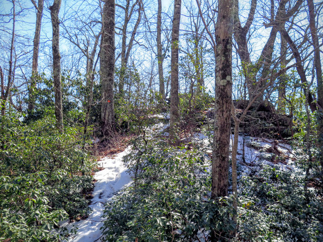 Picture 19 of Florence Nature Preserve Hike 013016