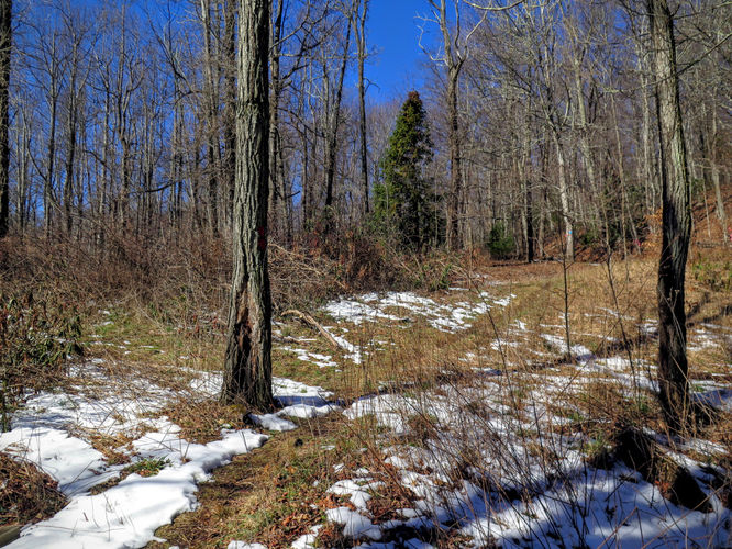 Picture 20 of Florence Nature Preserve Hike 013016