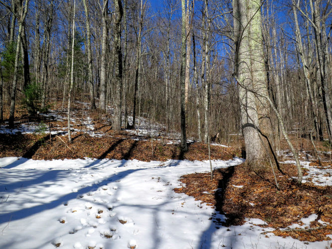 Picture 21 of Florence Nature Preserve Hike 013016