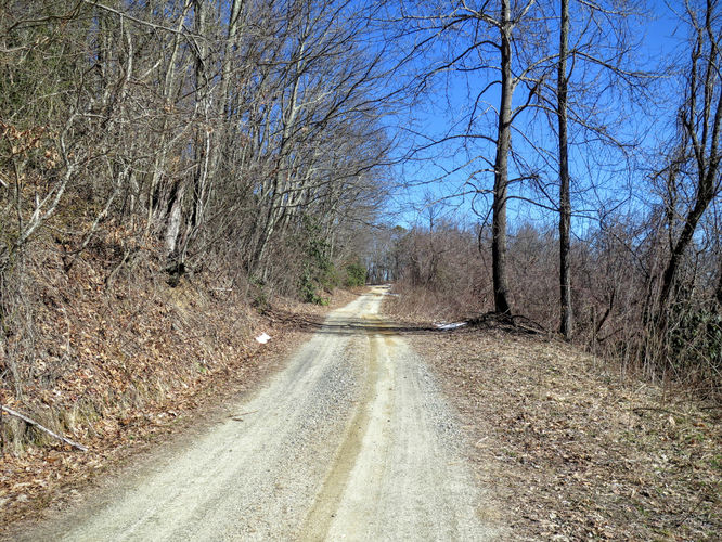 Picture 22 of Florence Nature Preserve Hike 013016