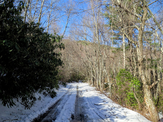 Picture 23 of Florence Nature Preserve Hike 013016