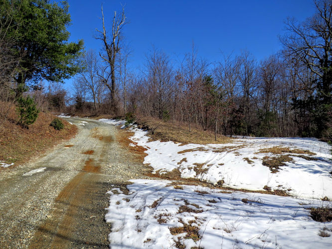 Picture 25 of Florence Nature Preserve Hike 013016
