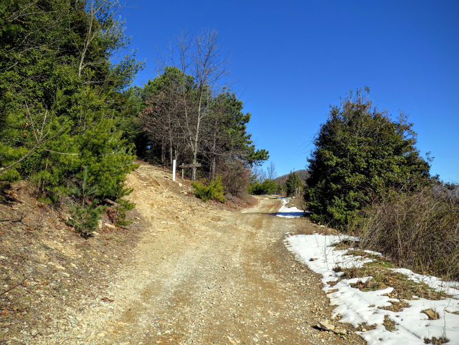 Picture 26 of Florence Nature Preserve Hike 013016
