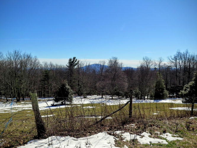 Picture 27 of Florence Nature Preserve Hike 013016