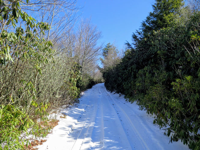 Picture 31 of Florence Nature Preserve Hike 013016